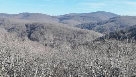 275 Andes Ridge Ellijay GA 30536
