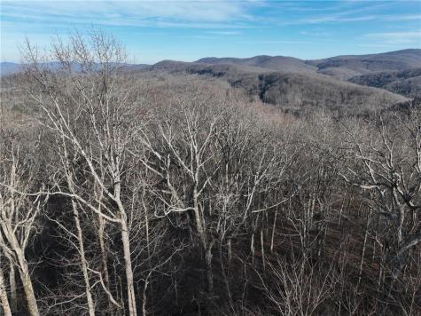 275 Andes Ridge Ellijay GA 30536