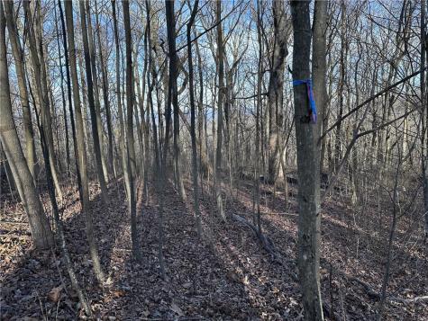 275 Andes Ridge Ellijay GA 30536