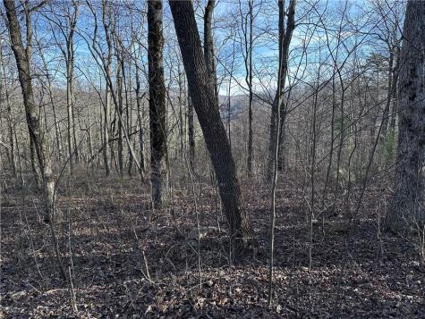 275 Andes Ridge Ellijay GA 30536