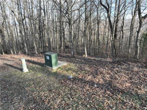 275 Andes Ridge Ellijay GA 30536