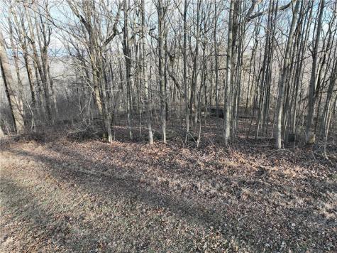 275 Andes Ridge Ellijay GA 30536