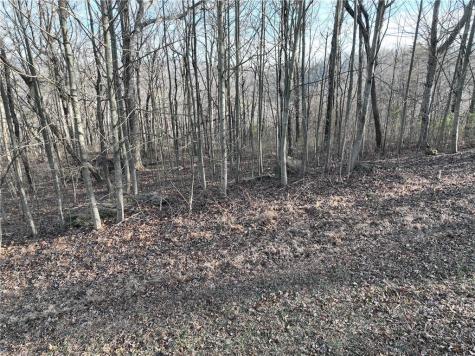 275 Andes Ridge Ellijay GA 30536