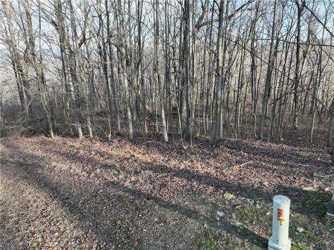 275 Andes Ridge Ellijay GA 30536