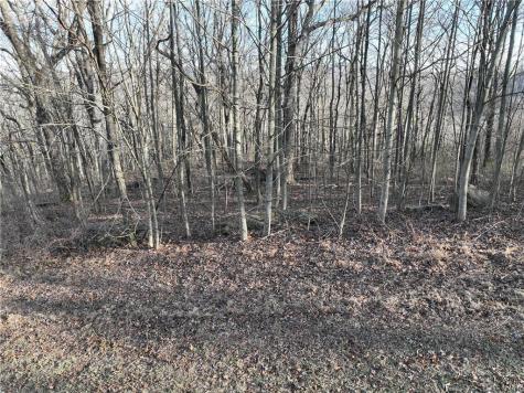 275 Andes Ridge Ellijay GA 30536
