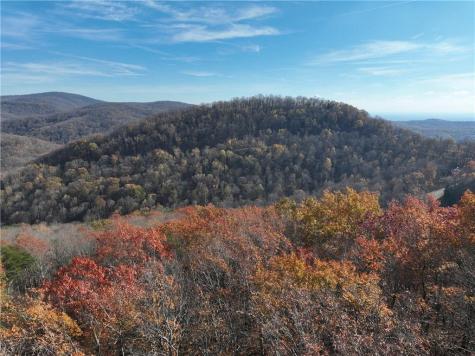 275 Andes Ridge Ellijay GA 30536