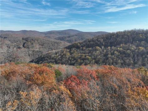 275 Andes Ridge Ellijay GA 30536