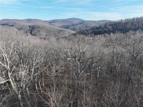275 Andes Ridge Ellijay GA 30536