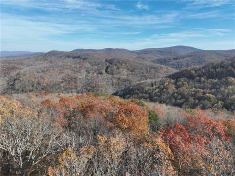 275 Andes Ridge Ellijay GA 30536