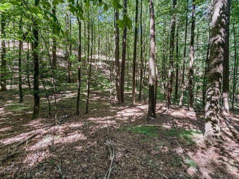 Lot 26 Estates Drive Ellijay GA 30536