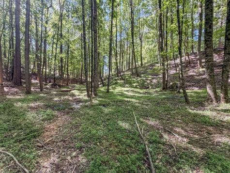 Lot 26 Estates Drive Ellijay GA 30536