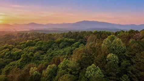 Lot 26 Estates Drive Ellijay GA 30536