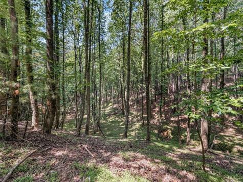 Lot 26 Estates Drive Ellijay GA 30536