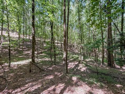 Lot 26 Estates Drive Ellijay GA 30536