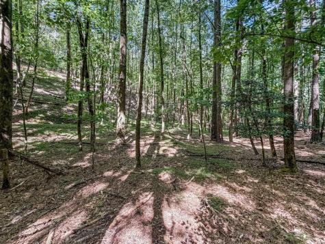 Lot 26 Estates Drive Ellijay GA 30536
