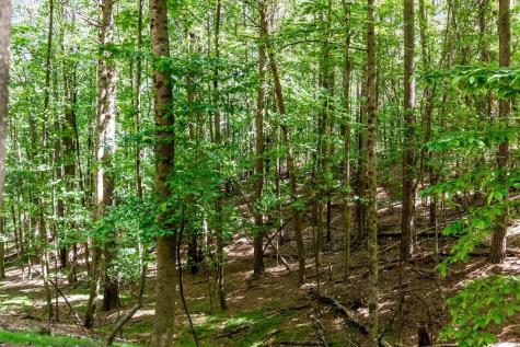 Lot 26 Estates Drive Ellijay GA 30536