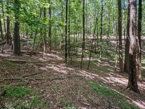 Lot 26 Estates Drive Ellijay GA 30536