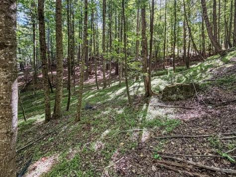 Lot 26 Estates Drive Ellijay GA 30536