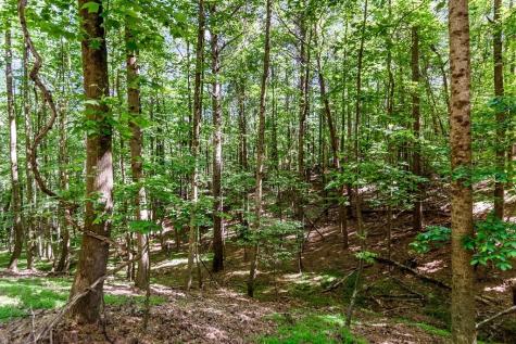 Lot 26 Estates Drive Ellijay GA 30536