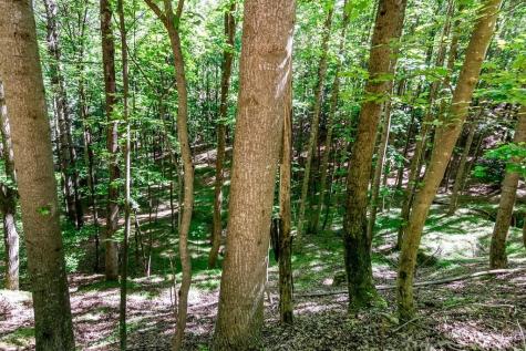 Lot 26 Estates Drive Ellijay GA 30536