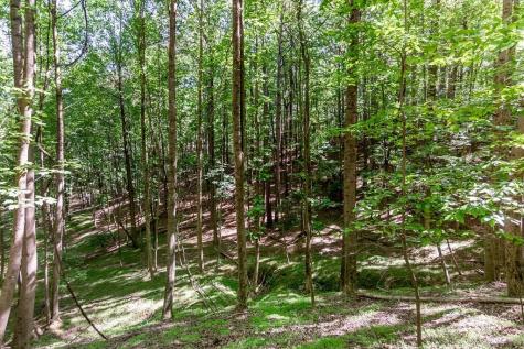 Lot 26 Estates Drive Ellijay GA 30536