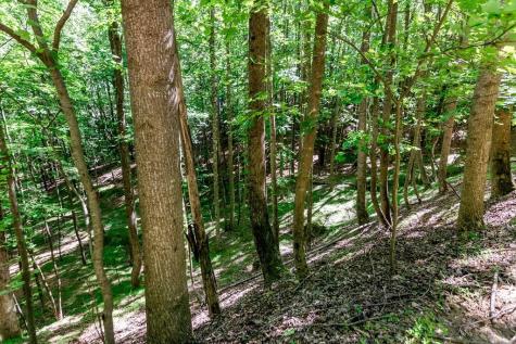 Lot 26 Estates Drive Ellijay GA 30536