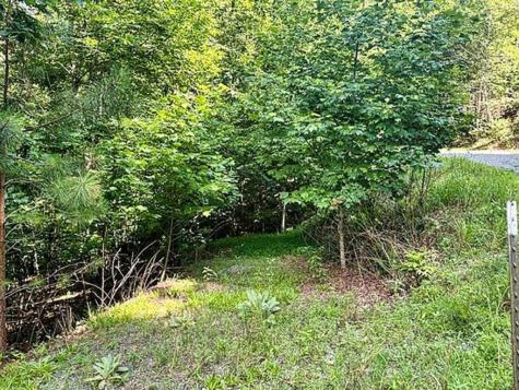 Lot 26 Toccoa Preserve Blue Ridge GA 30513
