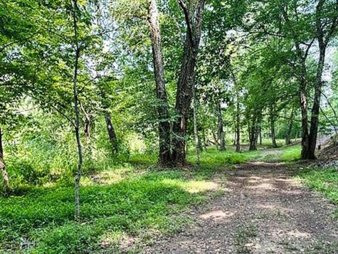 Lot 26 Toccoa Preserve Blue Ridge GA 30513
