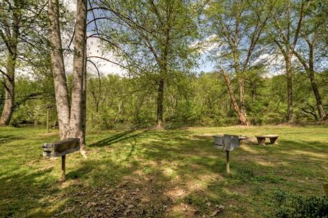 Lot 26 Toccoa Preserve Blue Ridge GA 30513