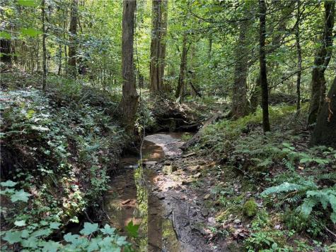 0 Alpine Drive Sautee Nacoochee GA 30571