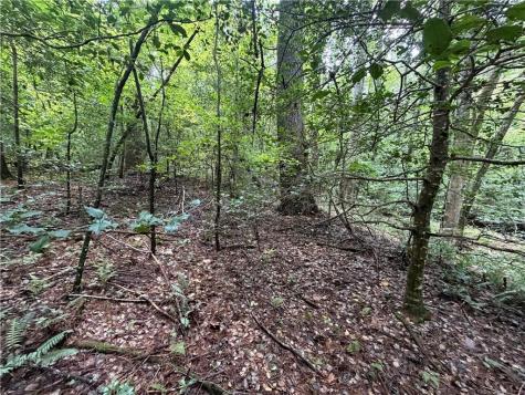 0 Alpine Drive Sautee Nacoochee GA 30571