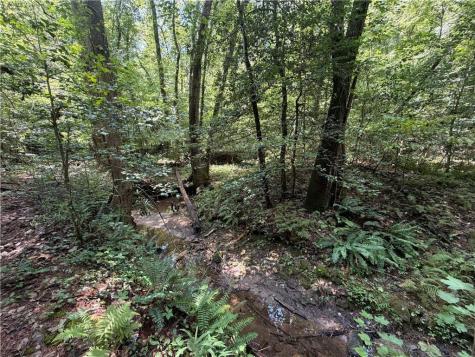 0 Alpine Drive Sautee Nacoochee GA 30571