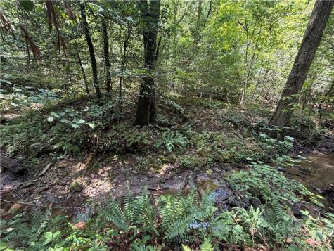 0 Alpine Drive Sautee Nacoochee GA 30571