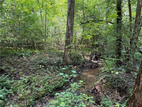 0 Alpine Drive Sautee Nacoochee GA 30571