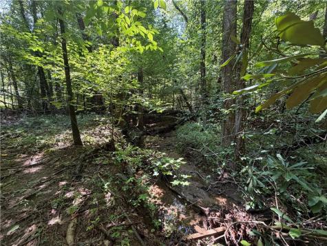 0 Alpine Drive Sautee Nacoochee GA 30571