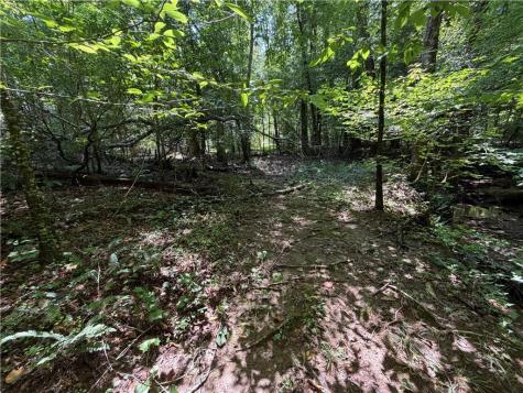 0 Alpine Drive Sautee Nacoochee GA 30571