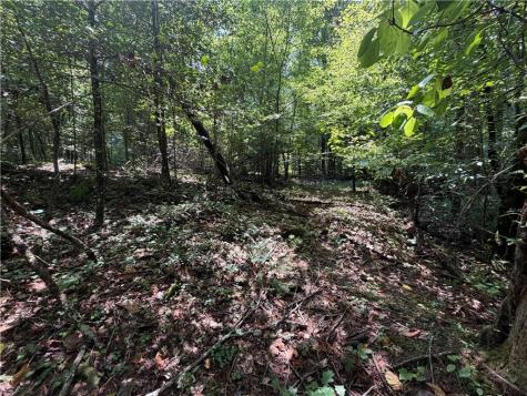 0 Alpine Drive Sautee Nacoochee GA 30571