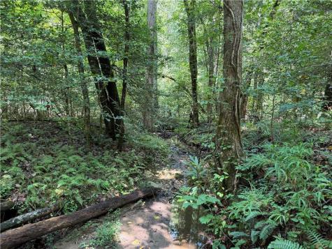 0 Alpine Drive Sautee Nacoochee GA 30571