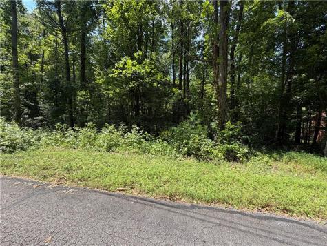0 Alpine Drive Sautee Nacoochee GA 30571