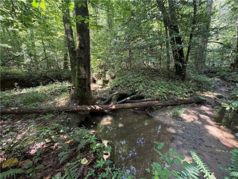 0 Alpine Drive Sautee Nacoochee GA 30571