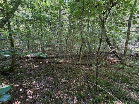 0 Alpine Drive Sautee Nacoochee GA 30571