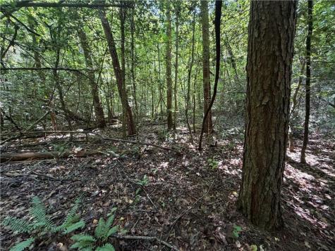 0 Alpine Drive Sautee Nacoochee GA 30571