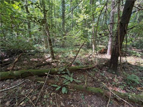 0 Alpine Drive Sautee Nacoochee GA 30571