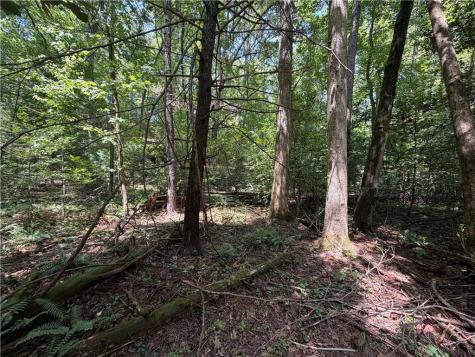 0 Alpine Drive Sautee Nacoochee GA 30571