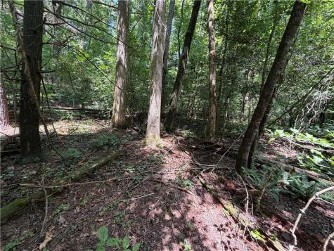 0 Alpine Drive Sautee Nacoochee GA 30571