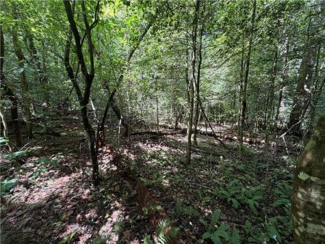 0 Alpine Drive Sautee Nacoochee GA 30571