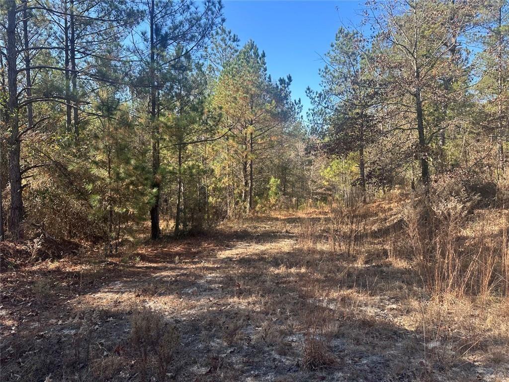 0 N Indian Trail Road Sandersville GA 31082