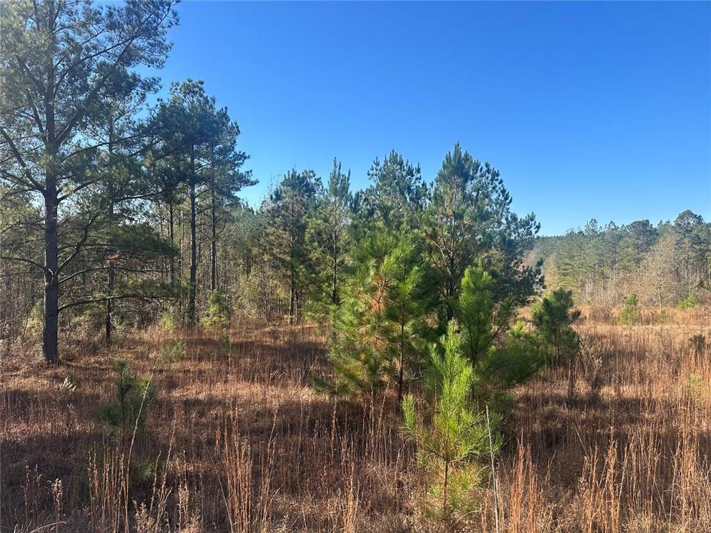 0 N Indian Trail Road Sandersville GA 31082