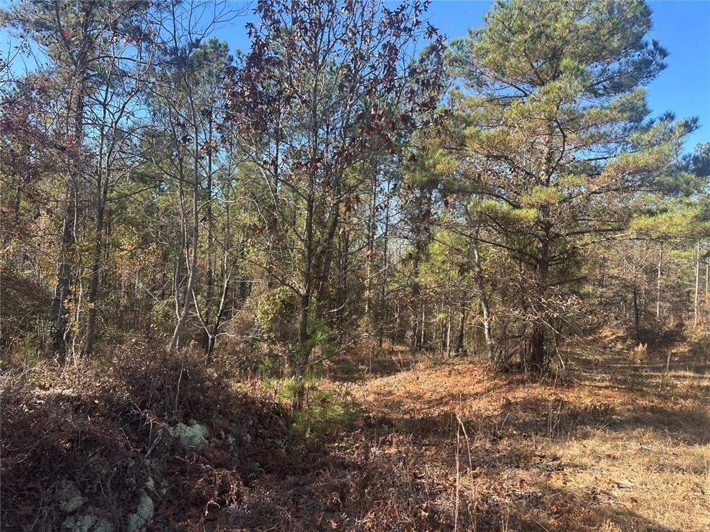0 N Indian Trail Road Sandersville GA 31082