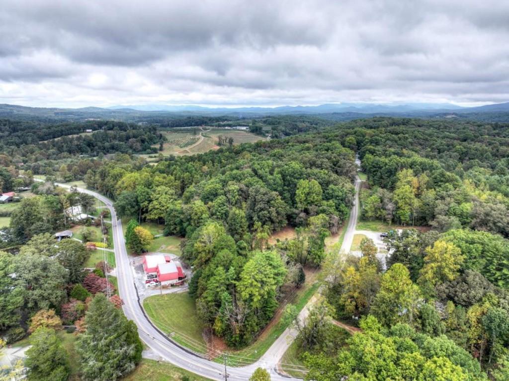 Tr 2 Davis Road Blue Ridge GA 30513